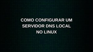 Como configurar um servidor DNS local no Linux